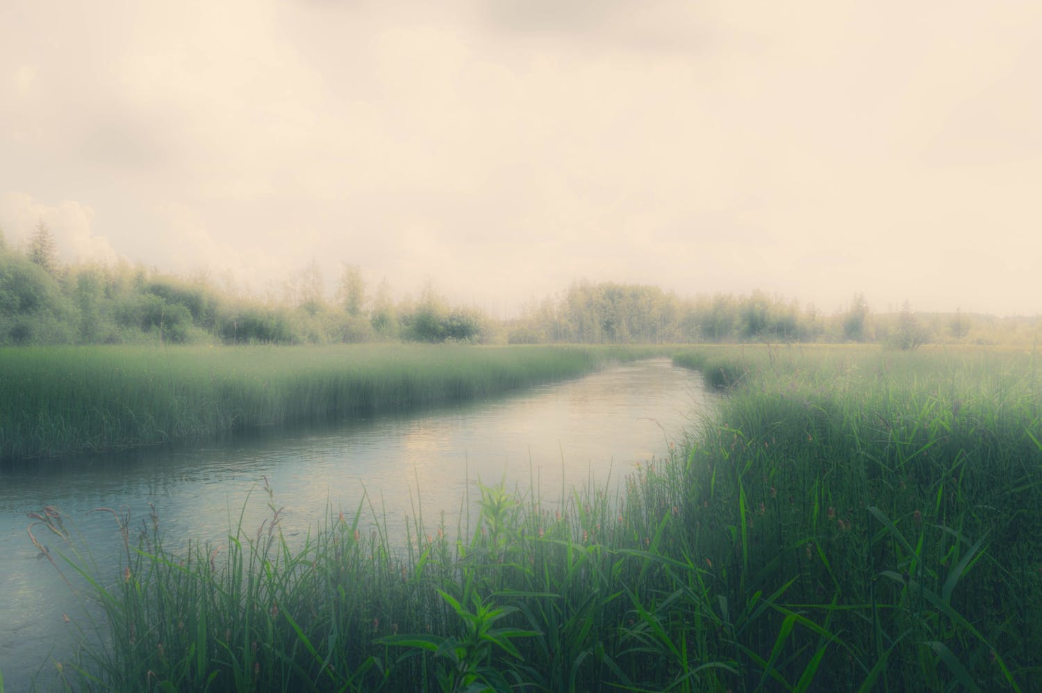 Landskapsbilde med utydelig bakgrunn.